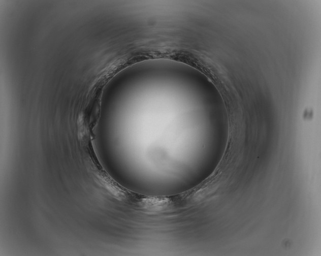 X0000095910480200801111236