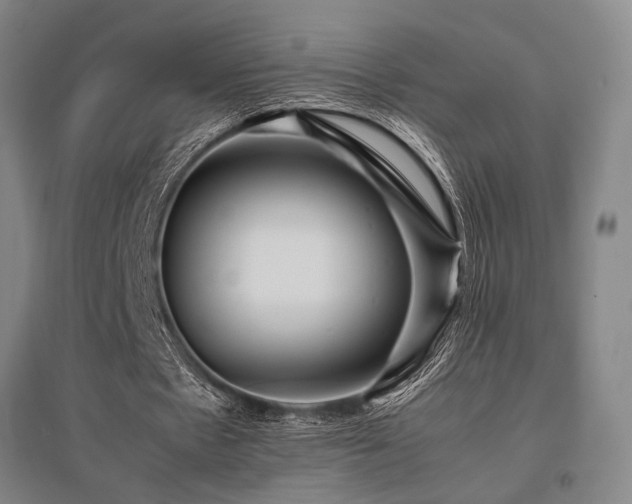 X0000095910481200801111235