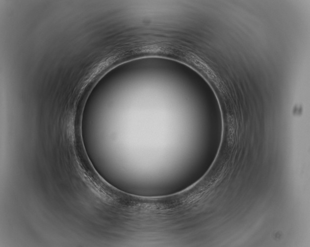 X0000095910482200801111235