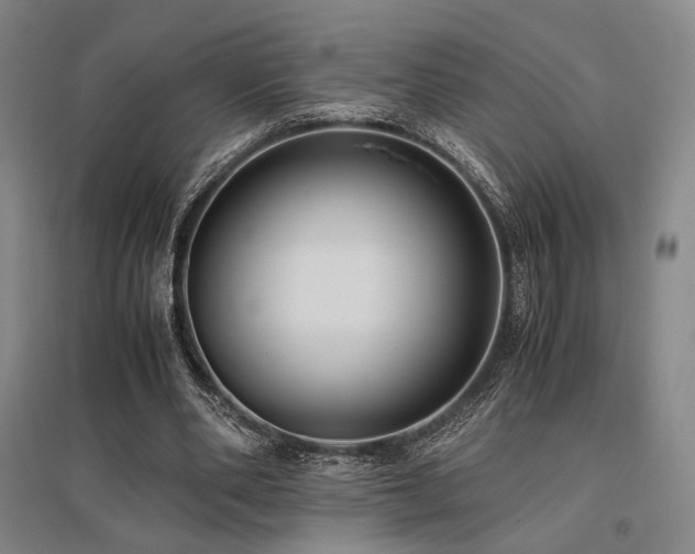 X0000095910486200801111235