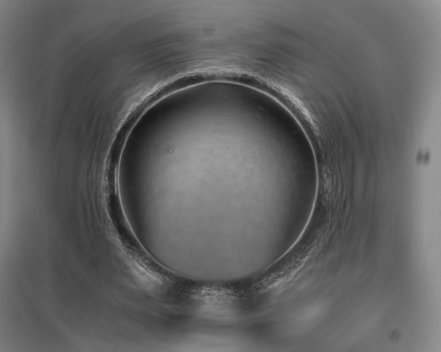 X0000095910487200801111235