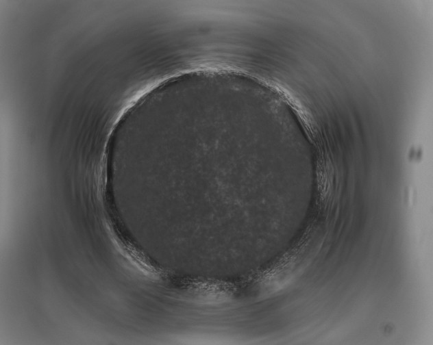 X0000095910488200801111235