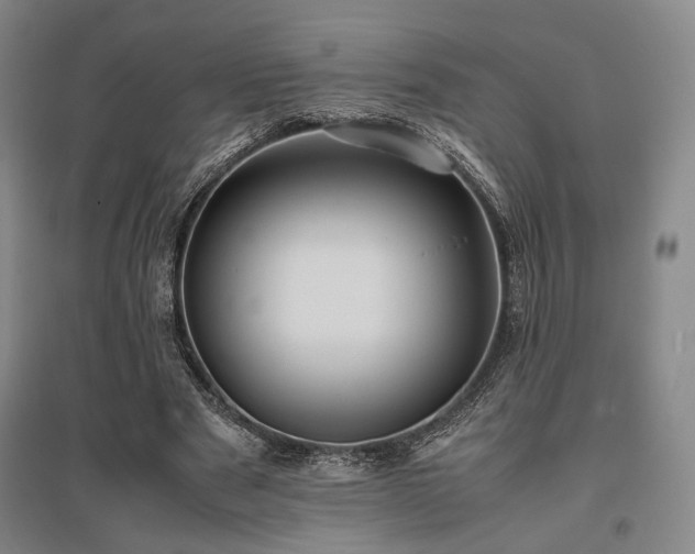 X0000095910489200801111235