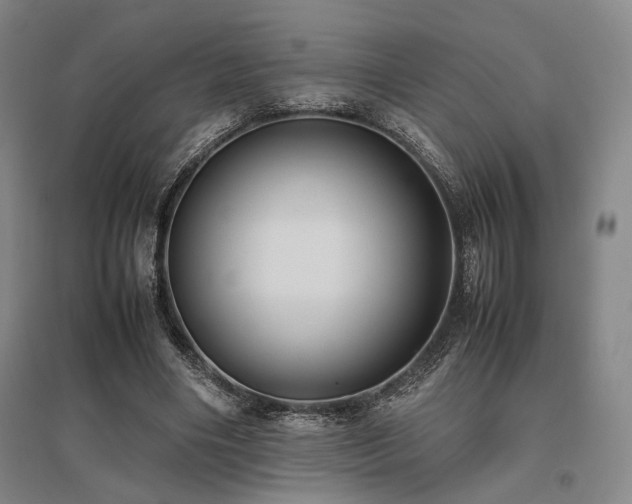 X0000095910490200801111235