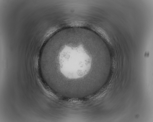 X0000095910491200801111235