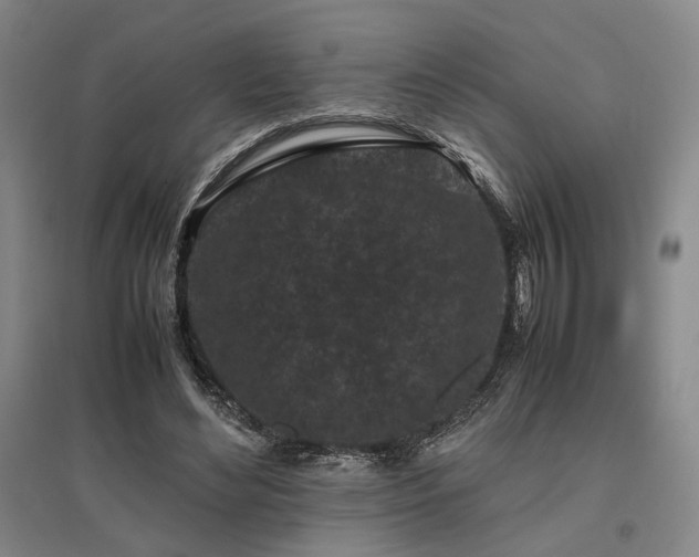 X0000095910492200801111235