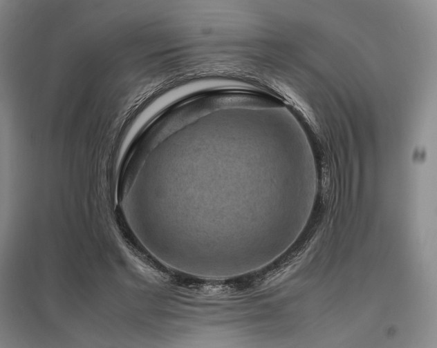 X0000095910493200801111235