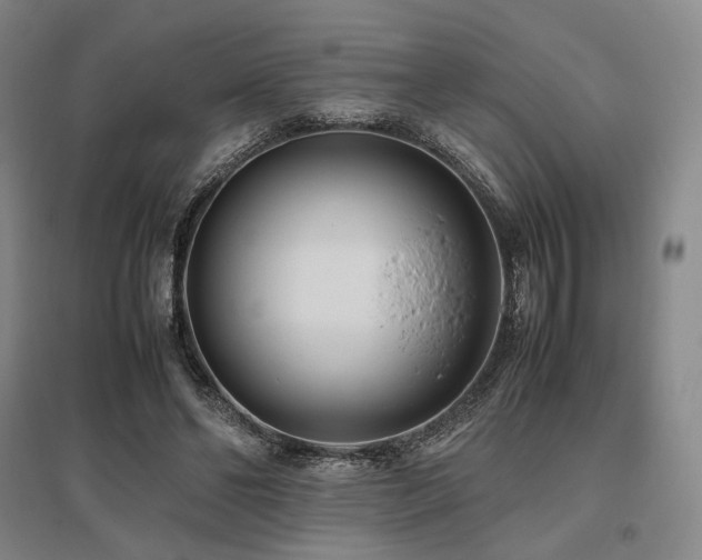 X0000095910494200801111235