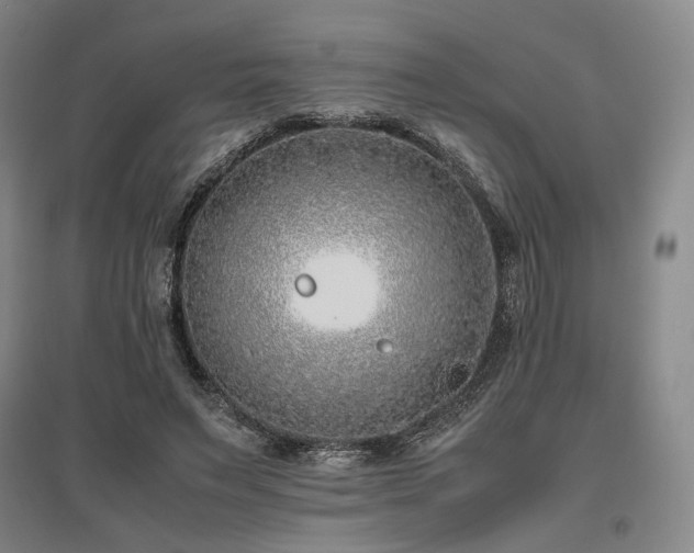 X0000095910495200801111235