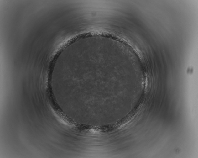 X0000095910496200801111235