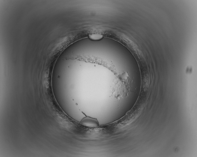 X0000095910497200801111235