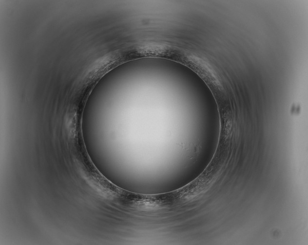 X0000095910498200801111235