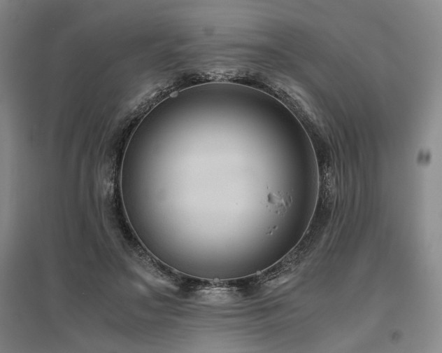 X0000095910499200801111235