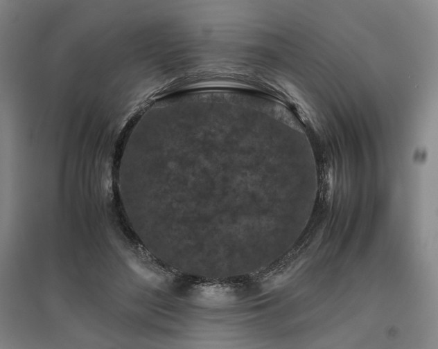 X0000095910500200801111235
