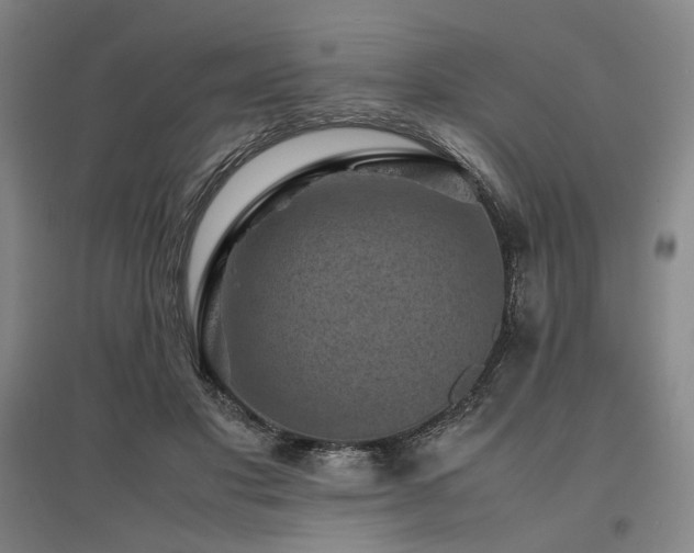 X0000095910501200801111235