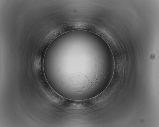 X0000095910502200801111235