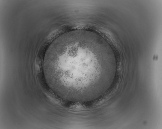X0000095910503200801111235