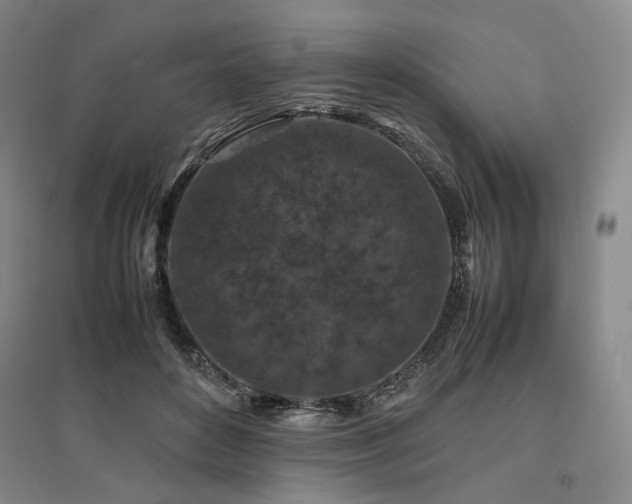 X0000095910504200801111235