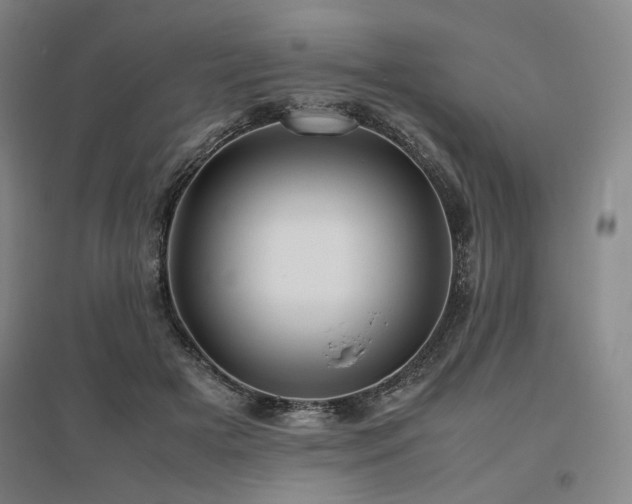 X0000095910505200801111235