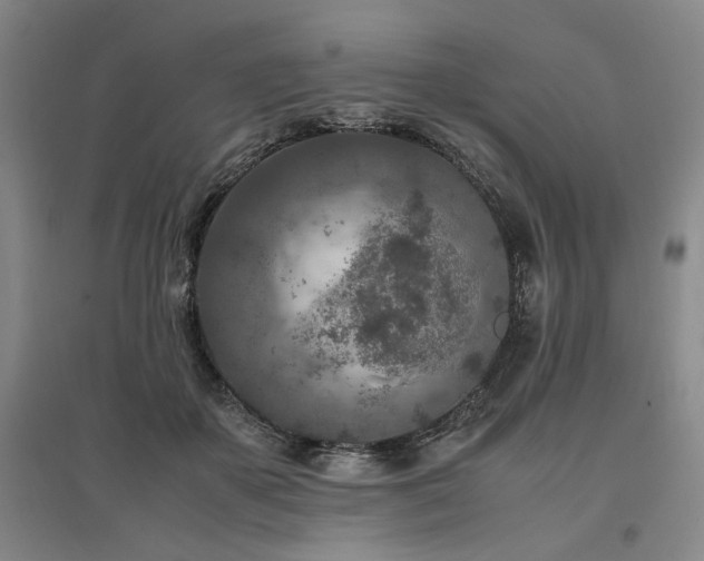 X0000095910507200801111235