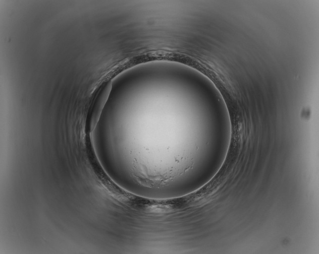 X0000095910508200801111235