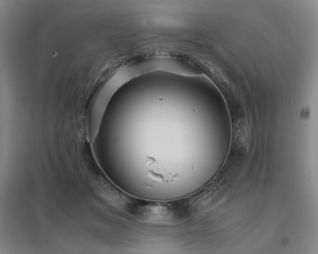 X0000095910509200801111235