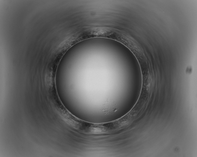 X0000095910510200801111235