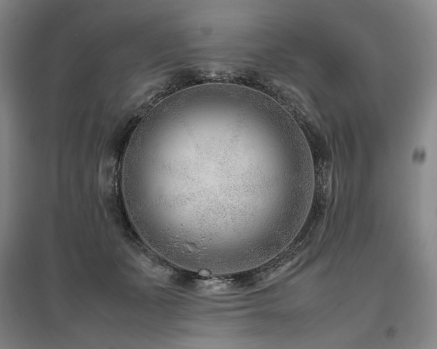 X0000095910511200801111235