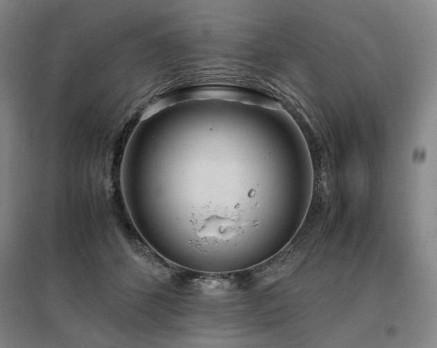 X0000095910512200801111235
