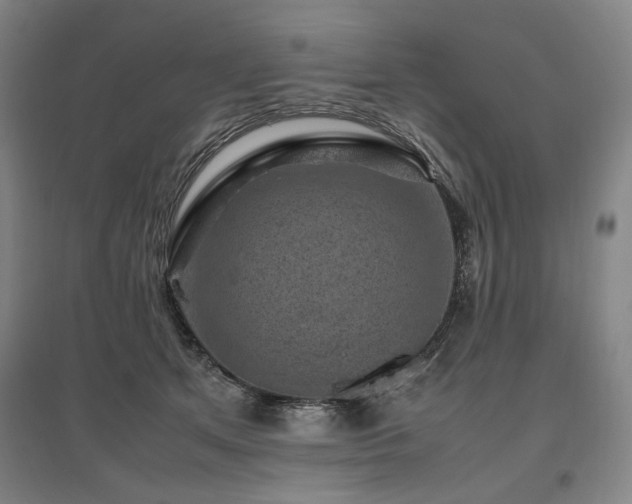X0000095910513200801111235