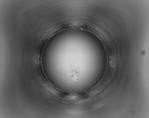 X0000095910514200801111235