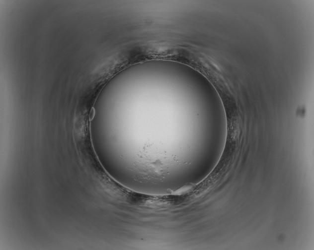 X0000095910515200801111235