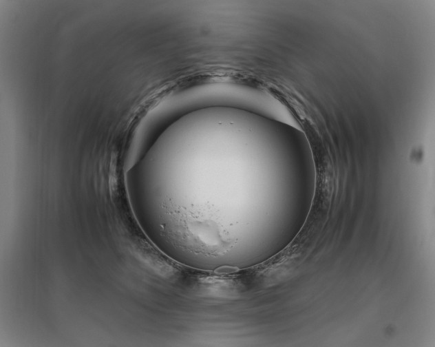 X0000095910516200801111235
