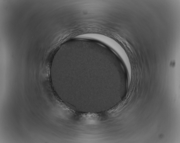 X0000095910517200801111235