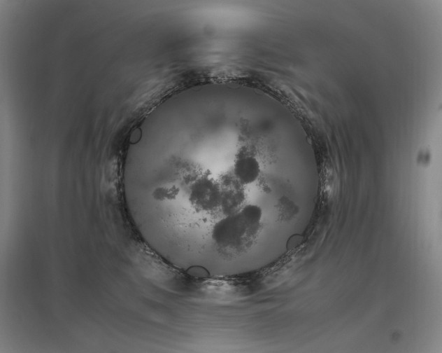 X0000095910519200801111235