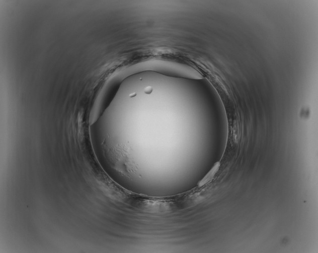 X0000095910520200801111235