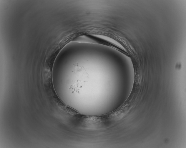 X0000095910521200801111235