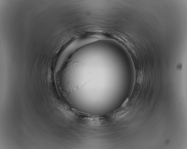 X0000095910524200801111235