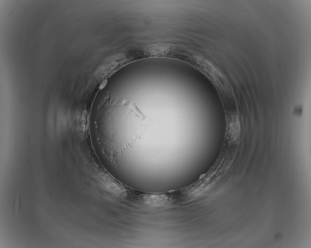 X0000095910525200801111235