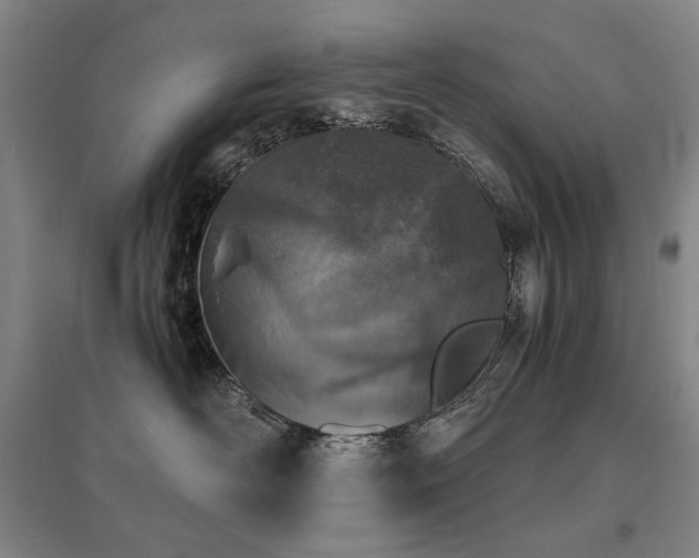 X0000095910526200801111235