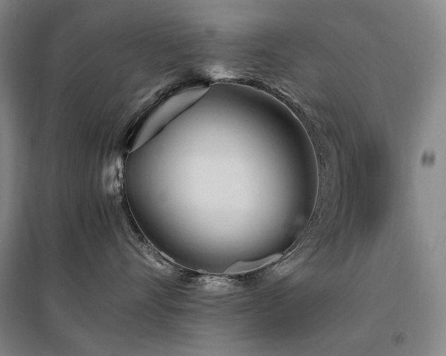 X0000095910528200801111235