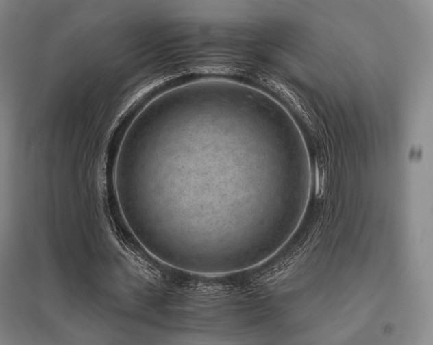 X0000095910531200801111234