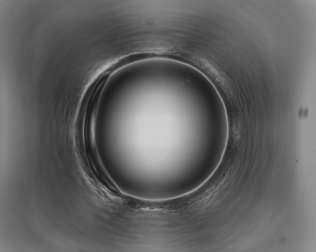 X0000095910532200801111234