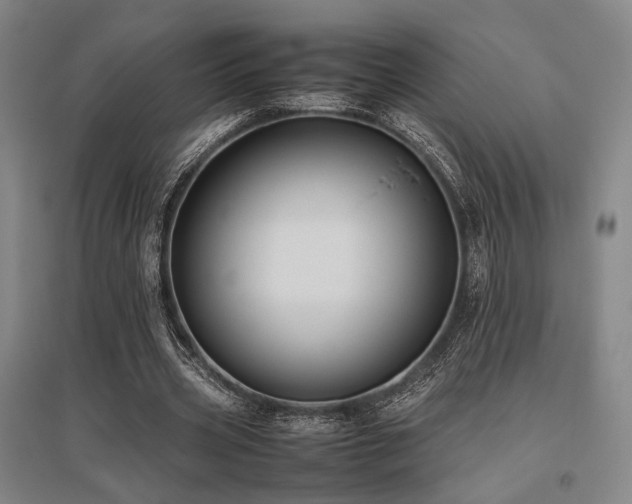 X0000095910533200801111234