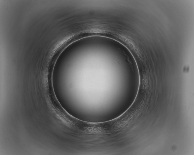 X0000095910535200801111234