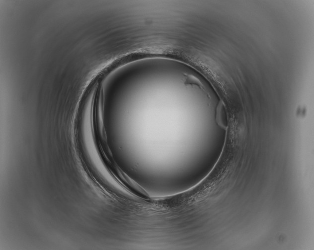 X0000095910536200801111234