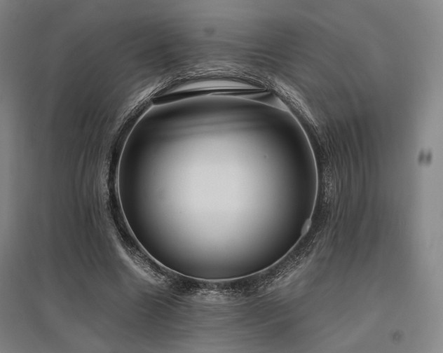 X0000095910538200801111234