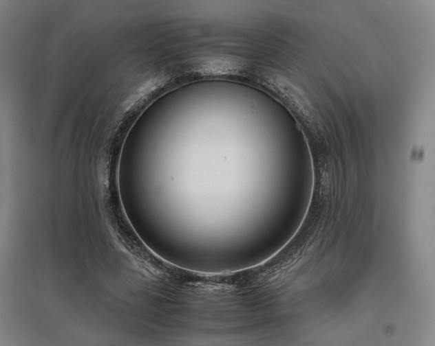 X0000095910539200801111234