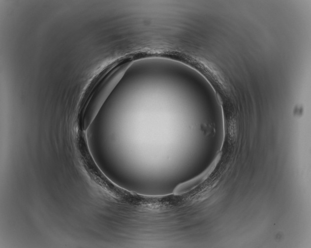 X0000095910540200801111234