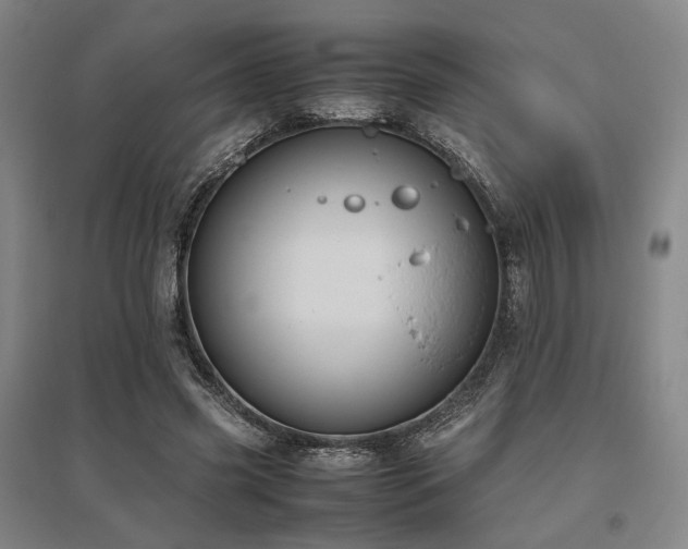 X0000095910541200801111234